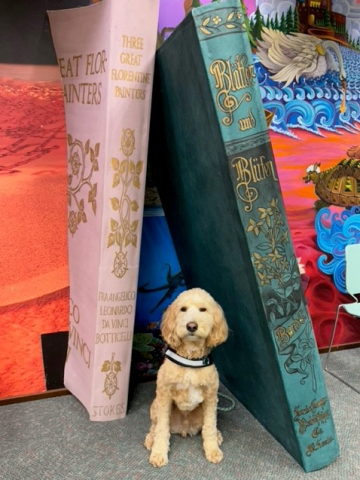 A fluffy labradoodle dog sits between two oversized book decorations.