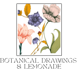 Pastel botanical drawings