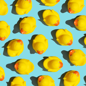 Rubber ducks on a sky blue background